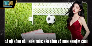 Cá Độ Bóng Đá