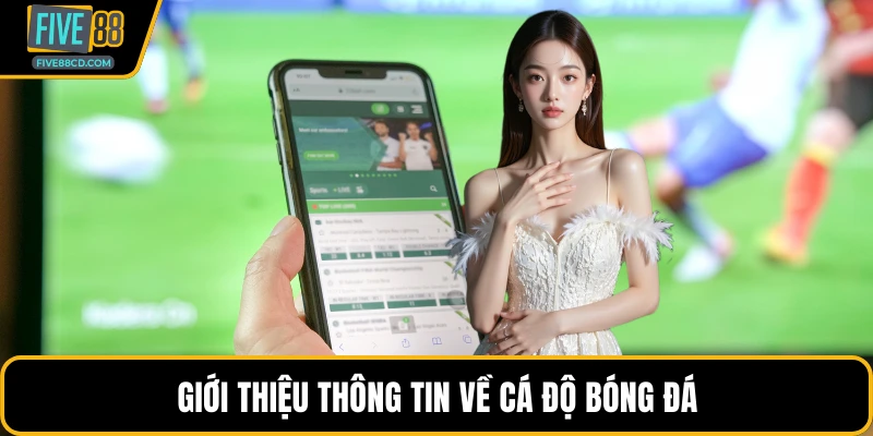 Giới thiệu thông tin về cá độ bóng đá