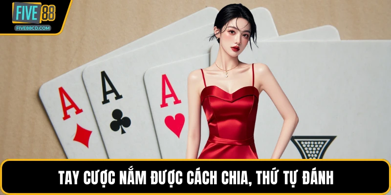 Tay cược nắm được cách chia, thứ tự đánh